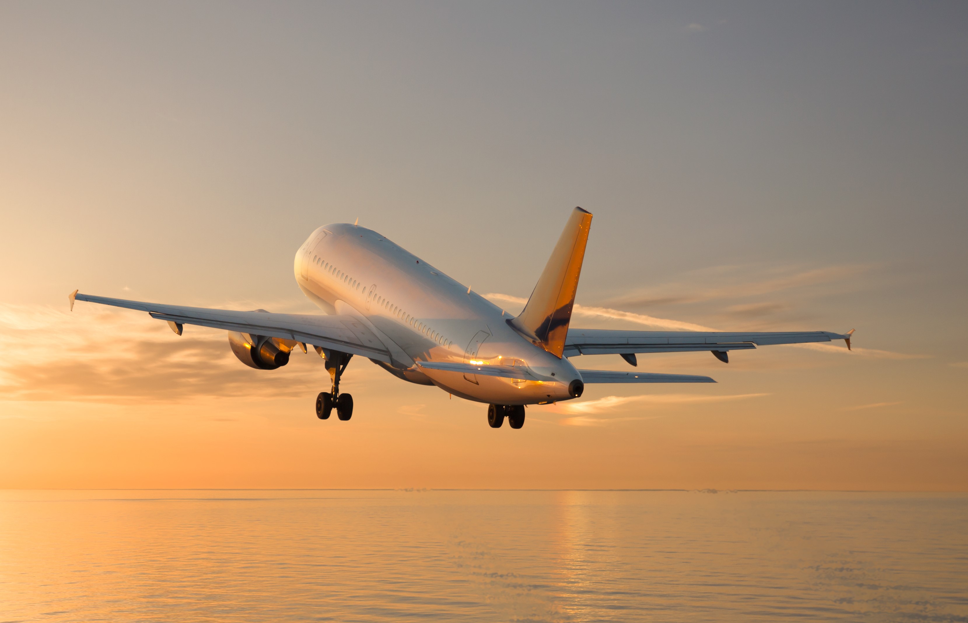 shutterstock_176350028